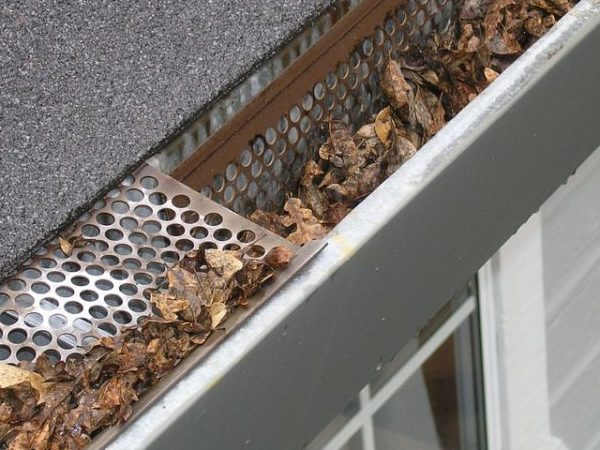 Cleaning Out Gutters